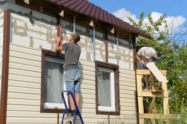 Best Brick Veneer Siding  in Webb City, MO